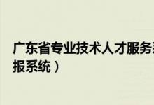 广东省专业技术人才服务系统（广东省专业技术人才网上申报系统）