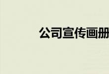 公司宣传画册设计(公司宣传)
