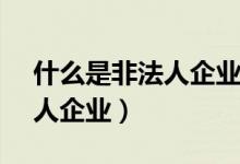 什么是非法人企业 - 芝士回答(什么是非法人企业)
