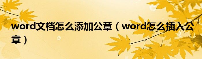 word文档怎么添加公章（word怎么插入公章）