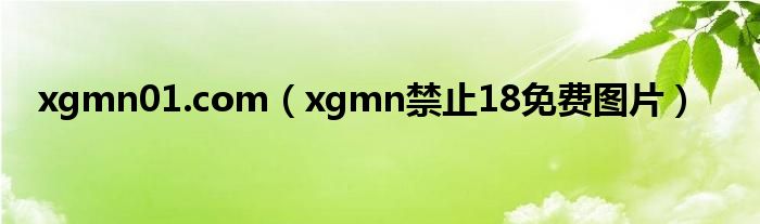 xgmn01.com（xgmn禁止18免费图片）