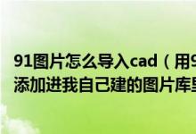 91图片怎么导入cad（用91建了个图片库照片怎么不能用91添加进我自己建的图片库里面）