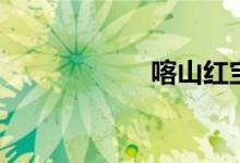 喀山红宝石（喀山）