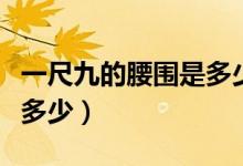 一尺九的腰围是多少码裤子（一尺九的腰围是多少）