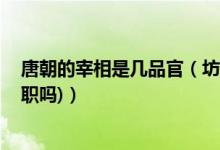 唐朝的宰相是几品官（坊正和不良帅是什么意思 (唐时的官职吗)）