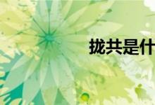 拢共是什么意思（拢）