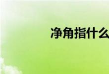 净角指什么（净角的意思）
