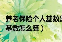 养老保险个人基数是什么（养老保险个人缴费基数怎么算）