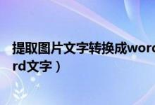 提取图片文字转换成word（如何把图片上的文字转换成word文字）