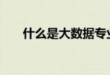 什么是大数据专业（什么是大BOSS）