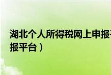 湖北个人所得税网上申报平台app（湖北个人所得税网上申报平台）