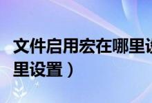 文件启用宏在哪里设置（wps表格启用宏在哪里设置）