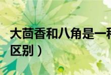 大茴香和八角是一种调料吗（大茴香和八角的区别）