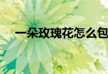 一朵玫瑰花怎么包装（玫瑰花怎么包装）