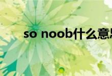 so noob什么意思（noob什么意思）