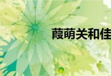 葭萌关和佳梦关（葭萌关）
