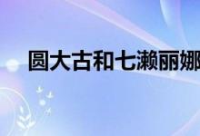 圆大古和七濑丽娜结婚的视频（圆大古）