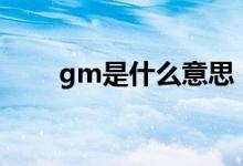 gm是什么意思（GMV是什么意思）