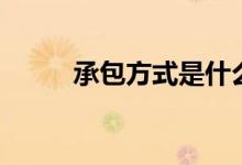 承包方式是什么意思（承包方式）