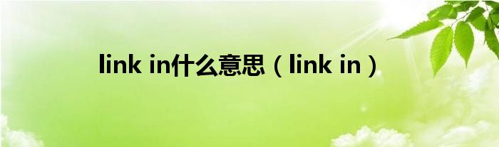 link in什么意思（link in）