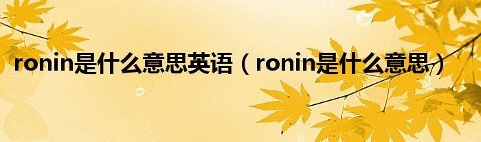ronin是什么意思英语（ronin是什么意思）
