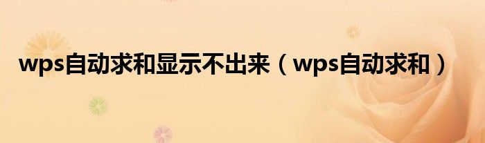 wps自动求和显示不出来（wps自动求和）