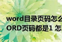 word目录页码怎么跟内容对应起来（我的WORD页码都是1 怎么办）