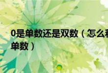 0是单数还是双数（怎么和孩子讲明白什么是双数和什么是单数）