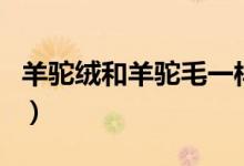 羊驼绒和羊驼毛一样吗（羊驼绒和羊绒的区别）