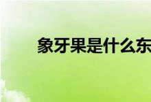 象牙果是什么东西（象牙果是什么）