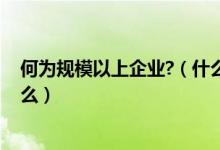 何为规模以上企业?（什么是规模以上企业 划分的依据是什么）