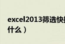 excel2013筛选快捷键(excel筛选快捷键是什么)