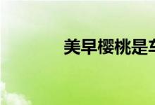 美早樱桃是车厘子吗（美早）