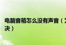 电脑音箱怎么没有声音（为什么电脑音箱没有声音了 如何解决）