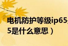 电机防护等级ip65是什么意思（防护等级ip65是什么意思）