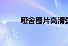 哑舍图片高清壁纸（哑舍的图片）