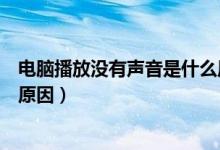 电脑播放没有声音是什么原因啊（电脑播放没有声音是什么原因）