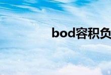 bod容积负荷（容积负荷）