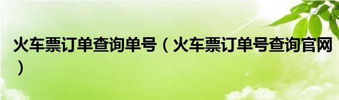 火车票订单查询单号（火车票订单号查询官网）