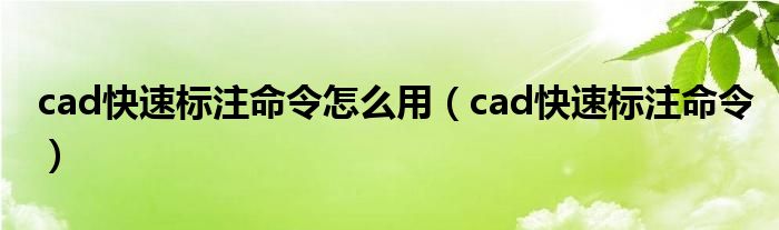 cad快速标注命令怎么用（cad快速标注命令）