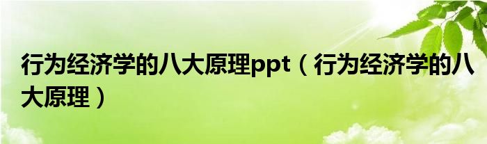 行为经济学的八大原理ppt（行为经济学的八大原理）