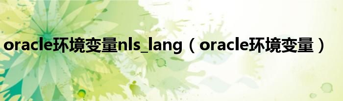 oracle环境变量nls_lang（oracle环境变量）