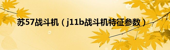 苏57战斗机（j11b战斗机特征参数）