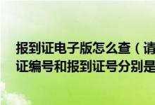 报到证电子版怎么查（请问 毕业生就业报到证里 那个报到证编号和报到证号分别是哪个）