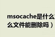 msocache是什么文件夹（MSOcache是什么文件能删除吗）