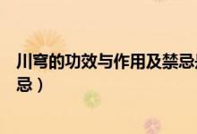 川穹的功效与作用及禁忌是什么呢（川穹的功效与作用及禁忌）