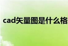 cad矢量图是什么格式（矢量图是什么格式）