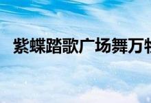 紫蝶踏歌广场舞万物生（紫蝶踏歌广场舞）