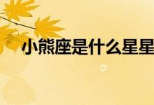 小熊座是什么星星（小熊座是什么星座）