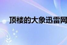 顶楼的大象迅雷网盘（顶楼的大象迅雷）